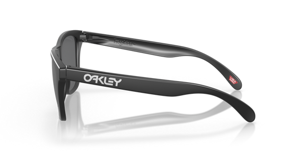 Oakley Sunglasses Frogskins Matte Black Prizm Black Polarized