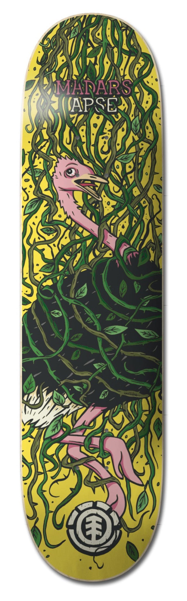 Element skateboard Deck Trapped Madars 8.38" C4DCB9ELP2