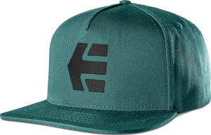 Etnies Icon Snapback Cap Teal One Size