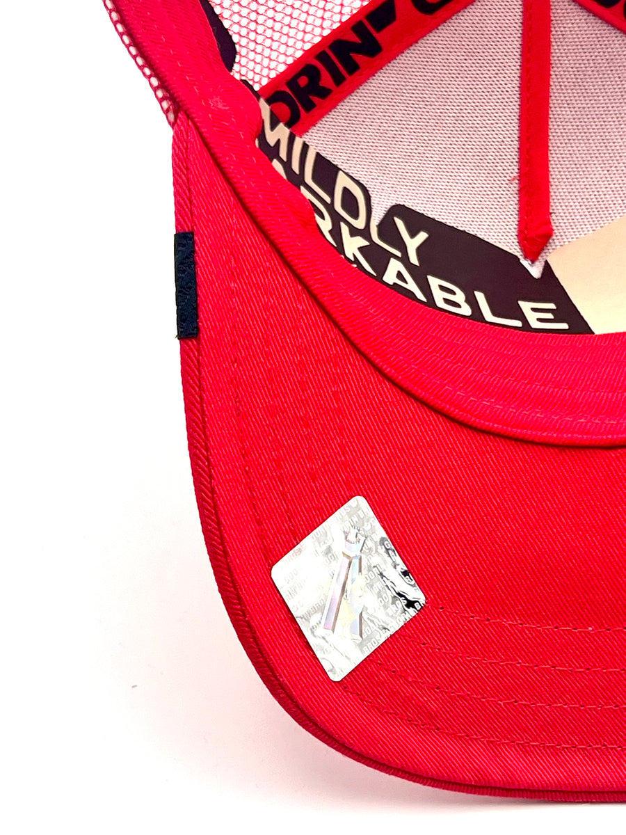 Goorin The Farm trucker KIDS cap - Sticky Bandit 2010009 One Size ...