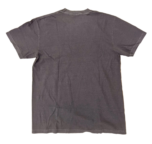 Anti Hero tee shirt Eagle Black Multi Denim Garment Dye