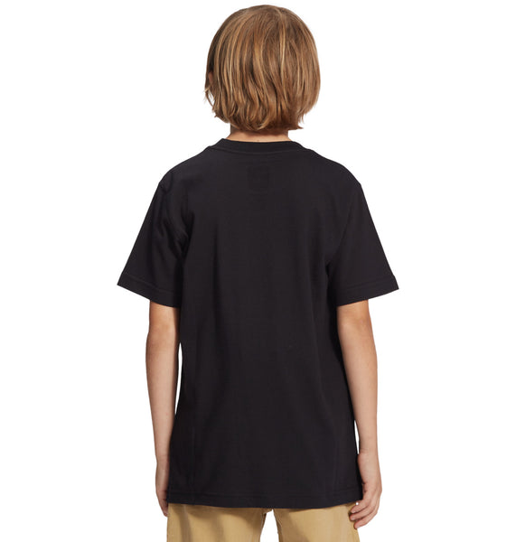 DC Shoes Kids Star Short Sleeve T-shirt Black ADBZT03263-KVJ0