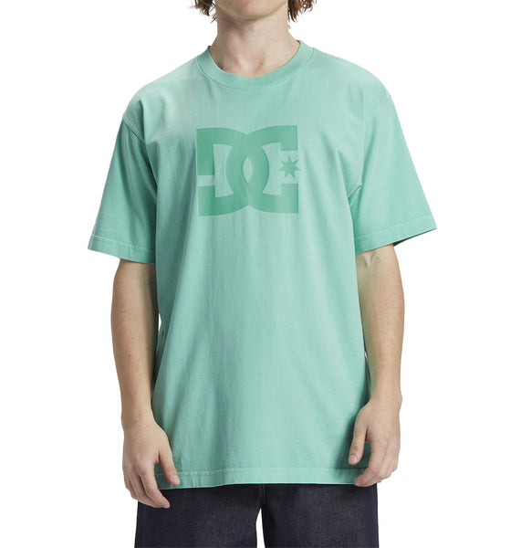 DC Star Mens Pigment Dye HSS T-shirt Biscay Green