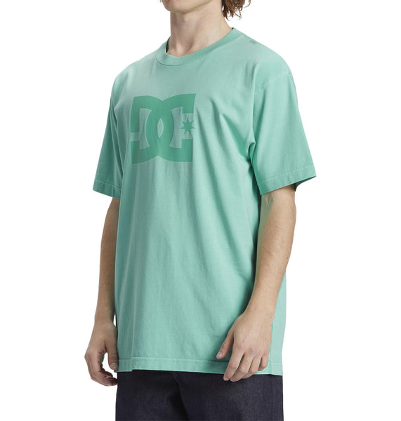 DC Star Mens Pigment Dye HSS T-shirt Biscay Green