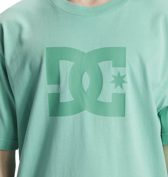 DC Star Mens Pigment Dye HSS T-shirt Biscay Green