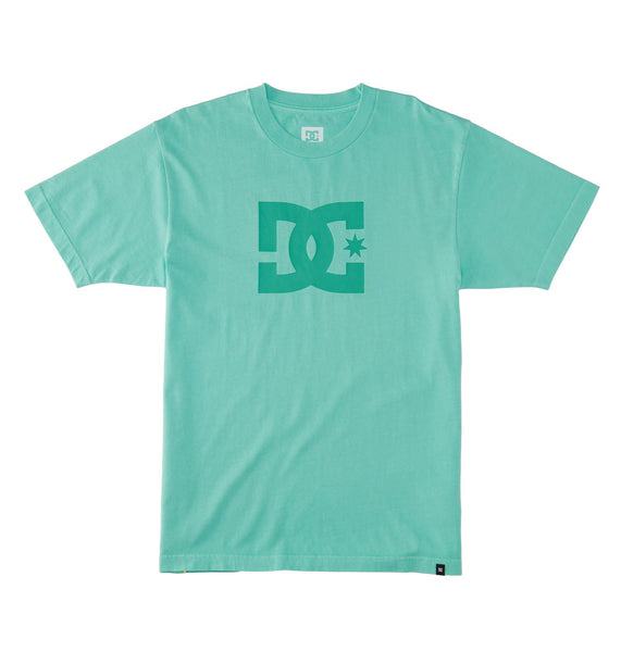 DC Star Mens Pigment Dye HSS T-shirt Biscay Green