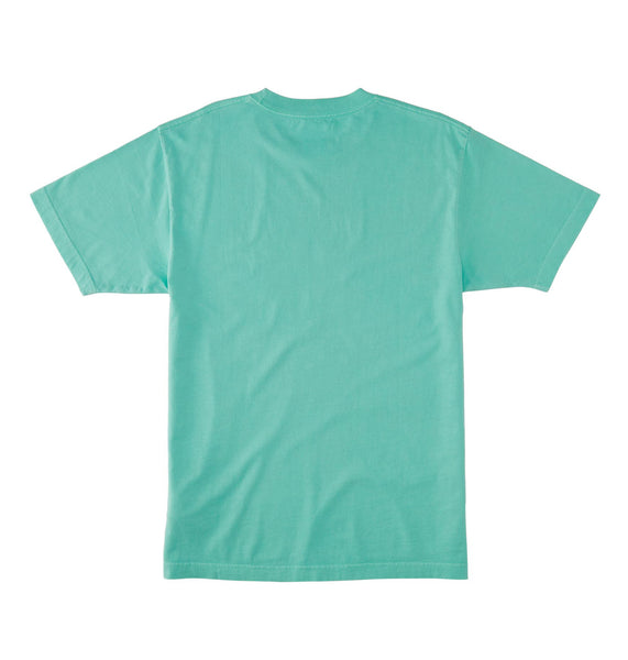 DC Star Mens Pigment Dye HSS T-shirt Biscay Green