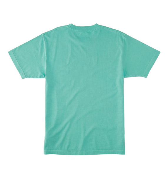 DC Star Mens Pigment Dye HSS T-shirt