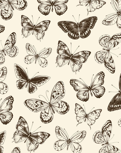 Pullin Boxer Lose Brief Parachute Butterfly