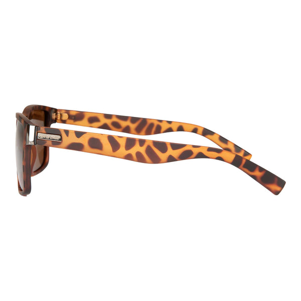 Santa Cruz Sunglasses Lucien Tortoiseshell / Brown