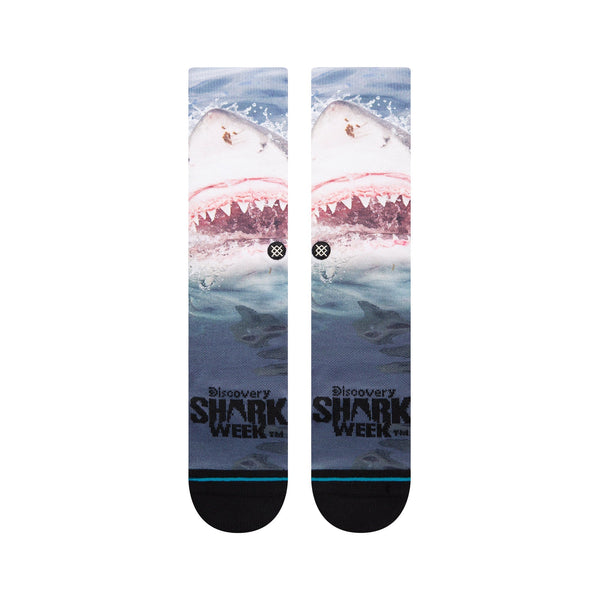 Stance Pearly Whites Crew Sock Blue A555C22PEA-BLU
